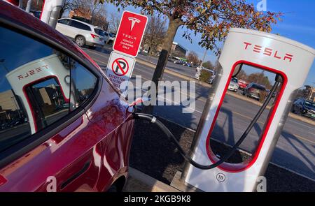 Colonie, Usa. 22.. November 2022. Ein Tesla Model 3 wird an einer Ladestation in Colonie gesehen. Telsa hat zwei Rückrufaktionen aufgrund von Problemen mit Airbag und Rücklicht angekündigt, die insgesamt fast 352.000 Fahrzeuge der Modelle X, 3 und Y betreffen. Kredit: SOPA Images Limited/Alamy Live News Stockfoto