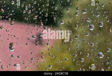 Wassertröpfchen kondensieren auf transparentem Fenster. Wasser, Regen, Tropfen. Stockfoto