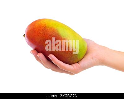 Stillen Sie Ihren Hunger. Nahaufnahme einer Frau, die eine Papaya isoliert auf Weiß hält. Stockfoto