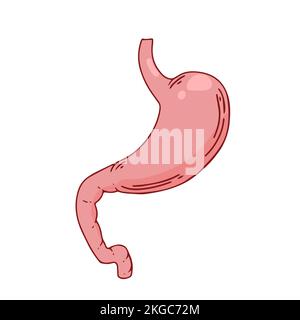 Menschlicher Magen. Innere Organe, Anatomie. Flache Darstellung des Vektorzeichens isoliert auf weißem Hintergrund Stock Vektor