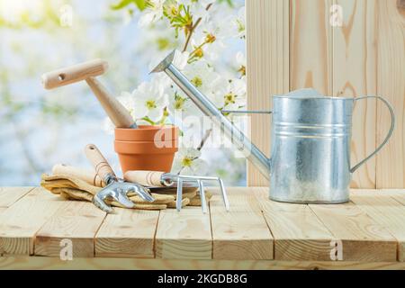 Gießkanne für landwirtschaftliche Werkzeuge, Gabel, Handschuhe und Flover-Topf Stockfoto