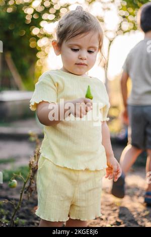 Süßes kleines Mädchen, das einen kleinen grünen Pfeffer in der Hand hält und ihn sorgfältig untersucht. Gesunde Landwirtschaft gesunde Lebensmittel. Lebensstil der Menschen. Glücklich Stockfoto