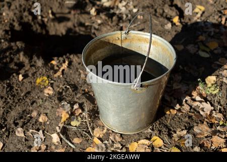 Wassereimer im Garten. Stahleimer. Wasser zur Bewässerung von Pflanzen. Gartenwerkzeug. Stockfoto