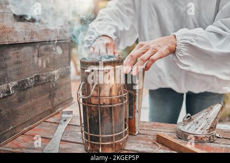 Bienenraucher, Imker und Bienenzüchter, die im Freien für Honig, Bienenwachs und Honigwaben sowie die Landwirtschaft arbeiten. Frauenhände für Stockfoto