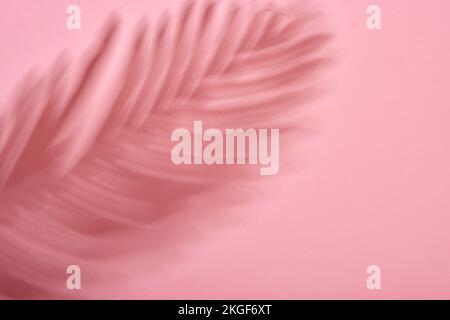 Sommertag tropische Pflaumen schatten auf pinkfarbenem Hintergrund Stockfoto