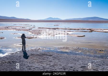 Sie fotografiert die Laguna Hedionda mit einer Schar Flamingos im Hintergrund auf der Altiplano (Hochebene), Provinz Sur Lípez, Bolivien Stockfoto