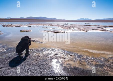 Sie fotografiert die Laguna Hedionda mit einer Schar Flamingos im Hintergrund auf der Altiplano (Hochebene), Provinz Sur Lípez, Bolivien Stockfoto