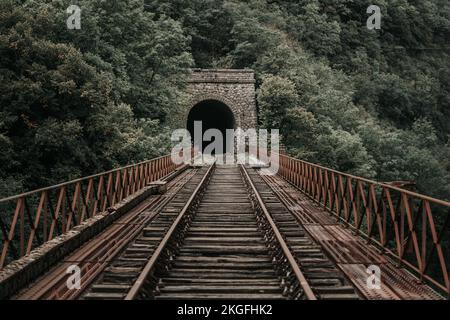 Rostige Bahngleise führen in einen dunklen Tunnel in einer entsättigten Landschaft Stockfoto