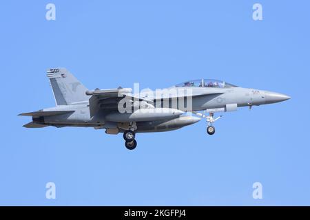 Präfektur Kanagawa, Japan - 28. März 2015: US Navy Boeing EA-18G Growler Electronic Warfare Aircraft von VAQ-141 Shadowhawks. Stockfoto