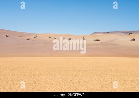 Panoramablick auf die Desierto de Dalí (Dali-Wüste) im Andenschutzgebiet Eduardo Avaroa, Provinz Sur Lípez, Bolivien Stockfoto