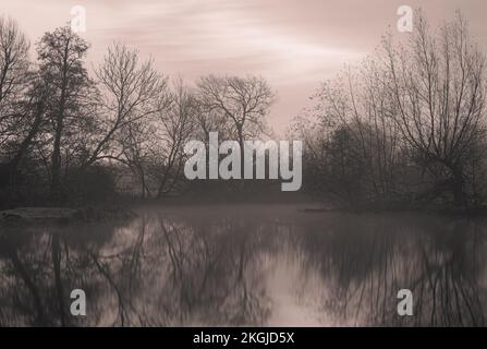 Schwarzweißfoto von Bäumen am Fluss Stour, zwischen Dedham und Flatford in Suffolk. Moody, neblige Landschaft. Stockfoto