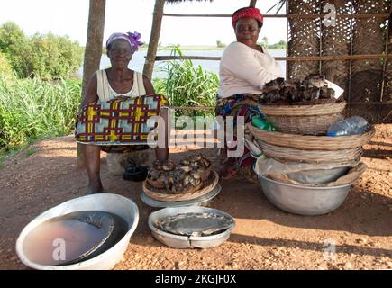 Frauen verkaufen geräucherten Fisch, Lake Aheme, Benin. Lake Aheme ist ein Voodou Centre in Benin, aber auch eines, wo viele Menschen ihren Lebensunterhalt mit Angeln verdienen. Stockfoto