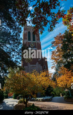 East Lansing MI - 18. Oktober 2022: Beaumont Tower Carillon im Herbst Stockfoto