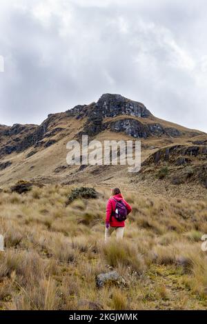Vertikales Ganzkörperfoto von hinten von einer Wanderin im Cajas-Nationalpark im Hochland von Ecuador, Cuenca, tropischen Anden. Stockfoto