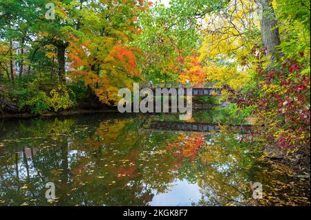 East Lansing MI - 18. Oktober 2022: Brücke auf einem Universitätscampus im Herbst Stockfoto