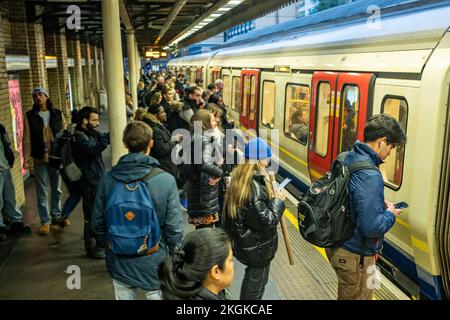 London - November 2022: High Street Kensington London U-Bahnstation Plattform Stockfoto