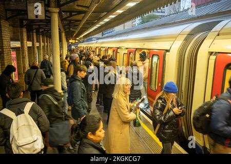 London - November 2022: High Street Kensington London U-Bahnstation Plattform Stockfoto