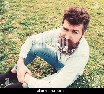 Brutaler Macho mit Gänseblümchen oder Kamillenblüten im Bart. Hipster auf einem streng durchdachten Gesicht sitzt auf Gras. Frühlingskonzept. Mann mit langem Bart und Stockfoto