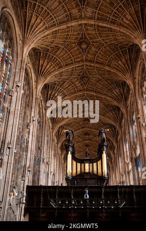 Die weltweit größte gewölbte Ventilatordecke befindet sich in der King's College Chapel in Cambridge, England. Stockfoto