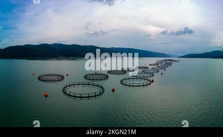 Zucht von Süßwasserfischen im See mit Rundnetzen. Rhodope-Berge, Europa. Panorama, Draufsicht Stockfoto