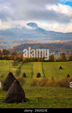 Agrotourismus im Herbst mit traditionellen Heuhaufen. Foto aufgenommen am 23.. Oktober 2022 im Dorf Breb, Kreis Maramures, Rumänien. Stockfoto