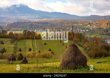 Agrotourismus im Herbst mit traditionellen Heuhaufen. Foto aufgenommen am 23.. Oktober 2022 im Dorf Breb, Kreis Maramures, Rumänien. Stockfoto
