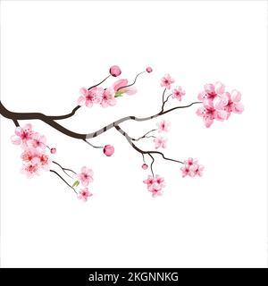Astbaumvektor Darstellung Sommer Clipart Herbst Clipart Naturwald, Hintergrund Kirschblüte Frühlingsblume Japan, Zweig blühender Sakura Stock Vektor