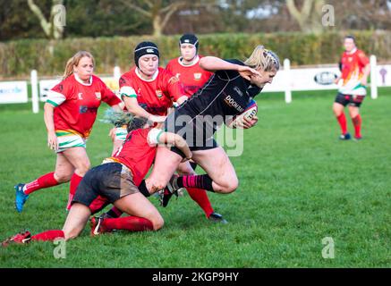 Camborne Ladies Rugby-Team-Spiel gegen Launceston in Camborne, Cornwall Stockfoto