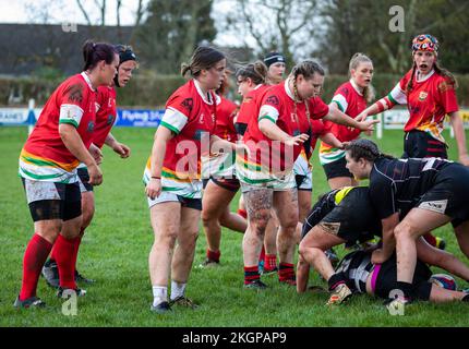 Camborne Ladies Rugby-Team-Spiel gegen Launceston in Camborne, Cornwall Stockfoto