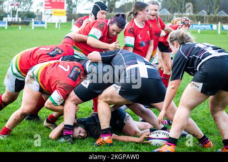 Camborne Ladies Rugby-Team-Spiel gegen Launceston in Camborne, Cornwall Stockfoto