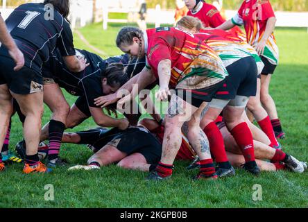 Camborne Ladies Rugby-Team-Spiel gegen Launceston in Camborne, Cornwall Stockfoto