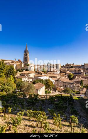 Frankreich, Nouvelle-Aquitaine, Saint-Emilion, Blick auf die historische Stadt mit monolithischer Kirche im Hintergrund Stockfoto