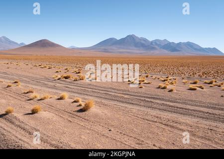 Fahrzeugspuren in der Wüste von Siloli in Altiplano oder High Plains, noch in der Provinz Lipez, Potosi Department, Bolivien Stockfoto