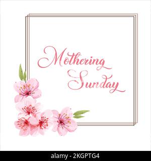 Sonntagsbanner mit Kirschblüten. Pinkfarbene Blumen über blau bemalten Streifen auf Weiß. Muttersonntags-Grußkartenvorlage, rechteckig fr Stock Vektor