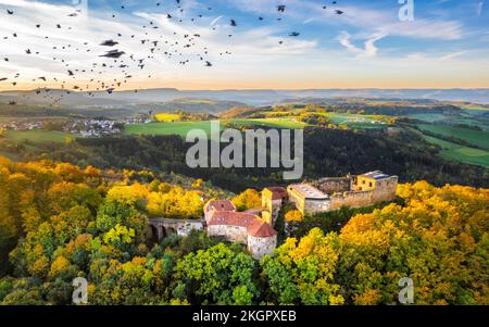 Deutschland, Baden-Württemberg, Dronenblick auf Vogelschwärme, die in der Herbstdämmerung über die Ruine des Hohenrechberger Schlosses fliegen Stockfoto