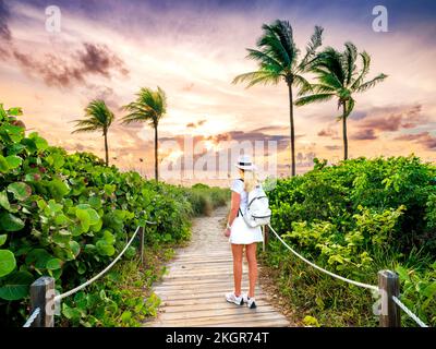 Eine Frau, die auf einem wunderschönen Strandpfad spaziert ist, der von Palmen eingerahmt wird und zum Strand, Hollywood Beach, Sunrise Miami, South Florida, USA führt Stockfoto