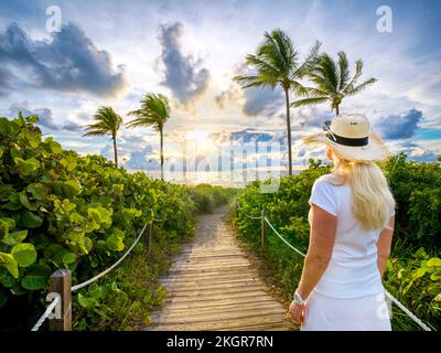 Wunderschöner Strandpfad, eingerahmt von Palmen, der zum Strand, Hollywood Beach, Sunrise Miami, South Florida, USA führt Stockfoto