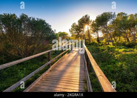 Spanien, Balearen, Menorca, Promenade im Naturpark S'Albufera bei Sonnenuntergang Stockfoto