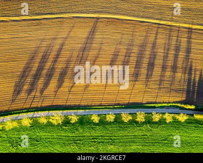 Deutschland, Baden-Württemberg, Dronenblick auf Bäume, die Schatten auf das gepflügte Feld werfen Stockfoto