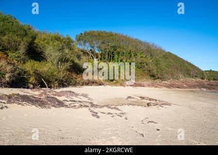 Traeth Lligwy Beach in der Nähe von Moelfre an der Ostküste von Anglesey, Nordwales. Stockfoto