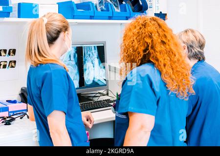 Reife Krankenschwester mit Kollegen, die das Röntgenbild am Computer im Krankenhaus untersuchen Stockfoto