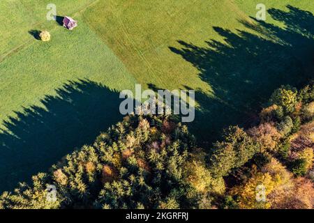 Deutschland, Baden-Württemberg, Bad Wildbad, Luftaufnahme von Bäumen, die Schatten auf das grüne Herbstfeld werfen Stockfoto