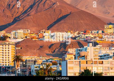 Farbenfrohe Häuser in den trockenen Hügeln an der Küste der Atacama-Wüste in der Stadt Antofagasta, Chile Stockfoto