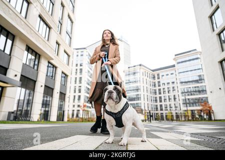 Eine Frau, die mit einer französischen Bulldogge vor den Gebäuden spaziert Stockfoto