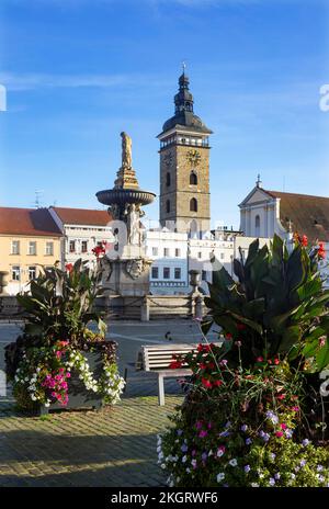 Tschechische Republik, Südböhmische Region, Ceske Budejovice, Samson-Brunnen auf dem Platz Premysl Otakar II mit schwarzem Turm im Hintergrund Stockfoto