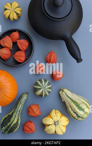 Studioaufnahme verschiedener HerbstKürbisse und Kürbisse Stockfoto