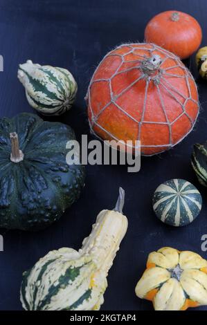 Studioaufnahme verschiedener HerbstKürbisse und Kürbisse Stockfoto