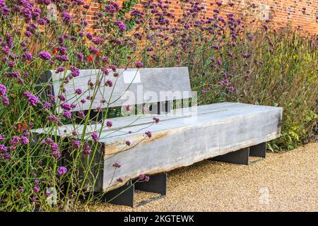 Handwerkliche Gartenbank aus Vollholz in einem ummauerten Garten mit hohen blühenden Pflanzen von Verbena bonariensis. Stockfoto