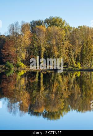 Malerische Herbstlandschaft mit bunten Herbstlaub im Gardon River, Cardet, Gard, Frankreich Stockfoto