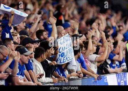 Sydney, Australien. 23.. November 2022. SYDNEY, AUSTRALIEN - 23. NOVEMBER: Everton FC-Fans unterstützen ihr Team während des Spiels zwischen Everton und Wanderers im CommBank Stadium am 23. November 2022 in Sydney, Australien. Guthaben: IOIO IMAGES/Alamy Live News Stockfoto